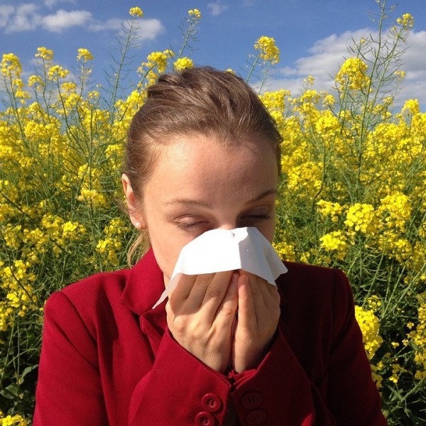 Las alergias del verano: consejos y cuidados